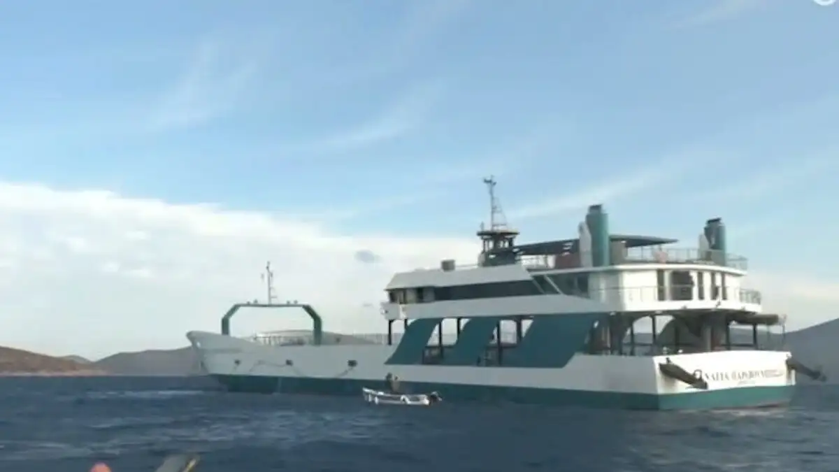 Νέα Στύρα: Νέες μαρτυρίες – «Κανείς από το πλήρωμα του φέρι μποτ δεν μας βοήθησε» (βίντεο) 