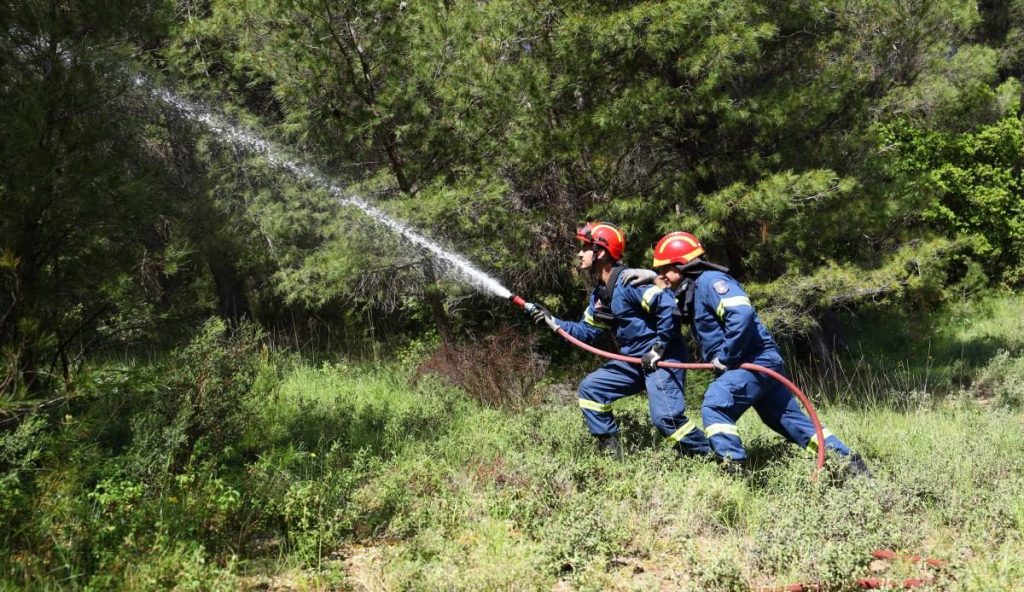 Ηλεία: Χειροπέδες σε γυναίκα με την κατηγορία πρόκλησης τριών πυρκαγιών – Οδηγείται στον εισαγγελέα