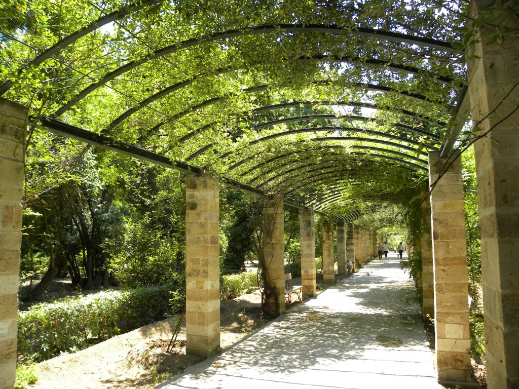 Δήμος Αθηναίων: Κλειστός ο Εθνικός Κήπος λόγω ισχυρών ανέμων