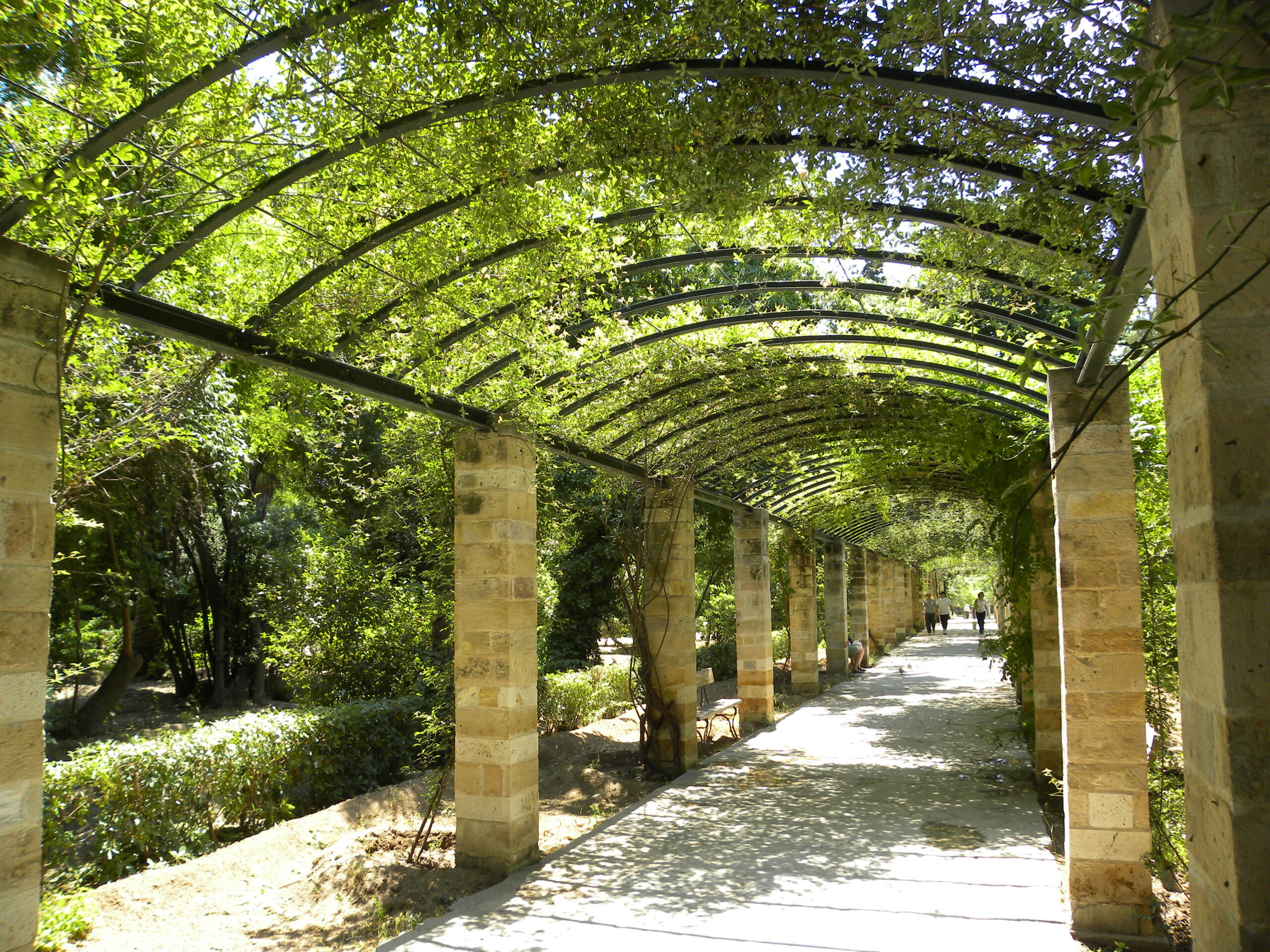 Δήμος Αθηναίων: Κλειστός ο Εθνικός Κήπος λόγω ισχυρών ανέμων