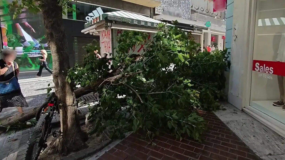 Πτώση δέντρου στην Ερμού από τους ισχυρούς ανέμους
