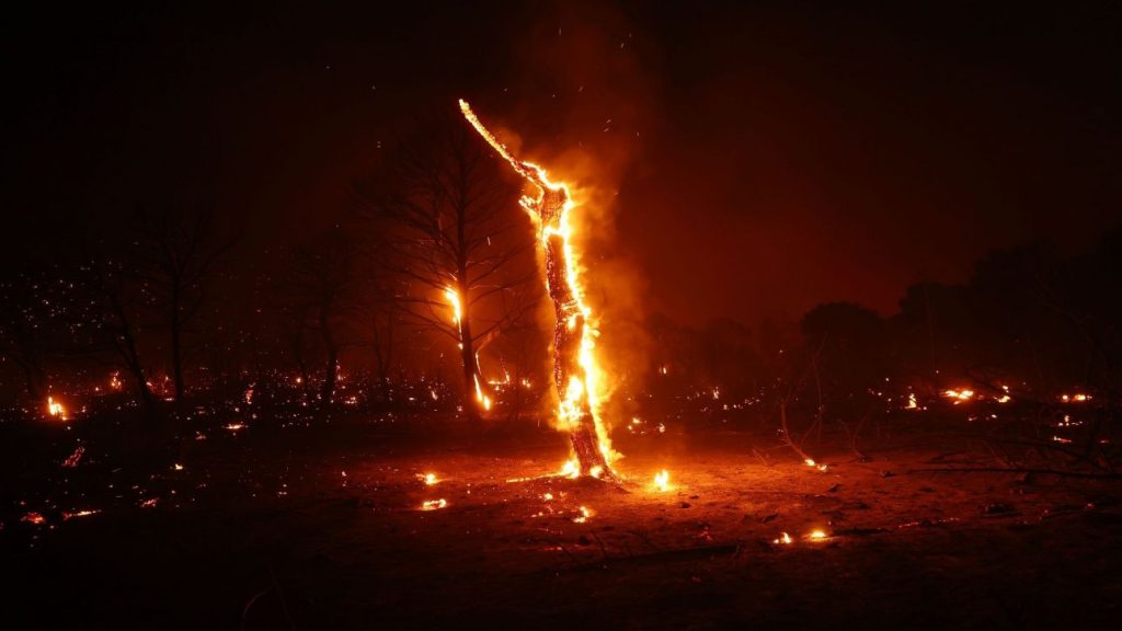 Φωτιά στην Κερατέα: Ο 76χρονος που κάηκε ζούσε χωρίς ρεύμα από το 2007 λόγω φτώχειας!