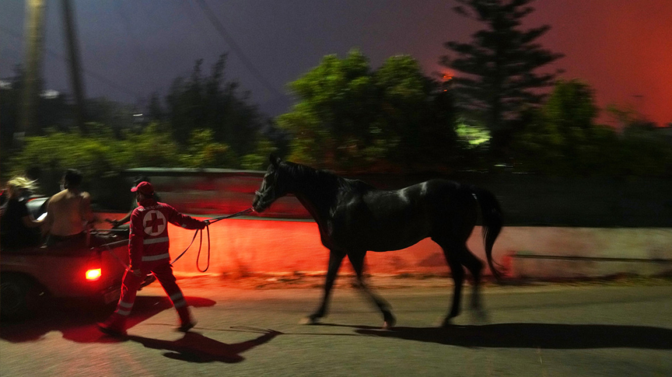 Άλογο διασώθηκε ενώ οι φλόγες είχαν «τυλίξει» την Παλαιά Φώκαια – Δείτε βίντεο