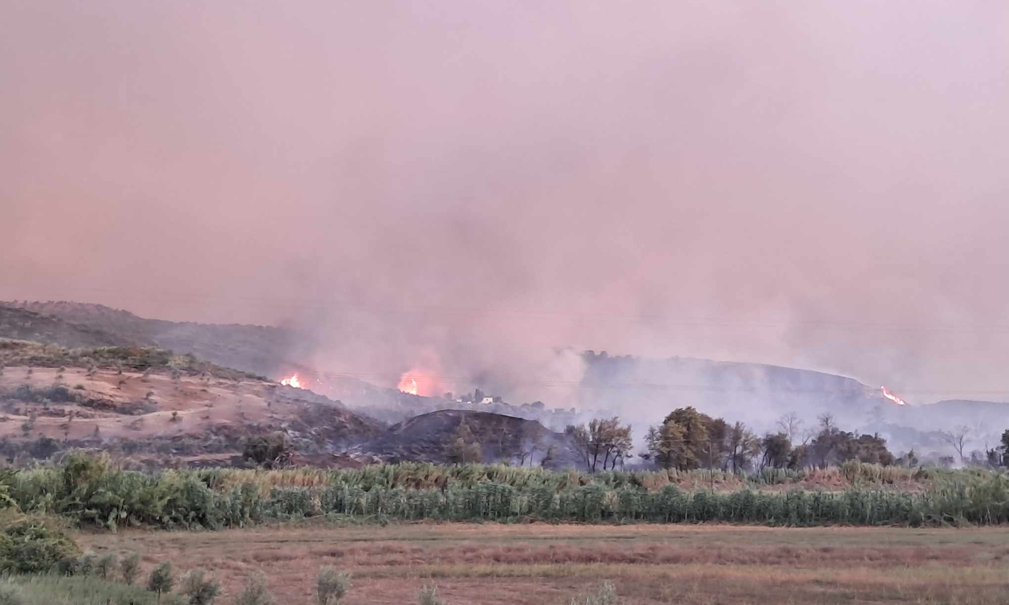 Aναζωπυρώθηκε η πυρκαγιά στην Αρχαία Ολυμπία: 134 πυροσβέστες με 46 οχήματα στο σημείο – Σε επιφυλακή οι κάτοικοι!