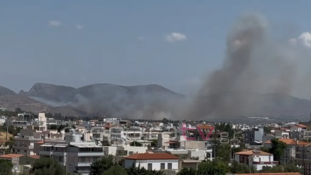Συνελήφθη 41χρονος για πρόκληση φωτιάς στα Μέγαρα
