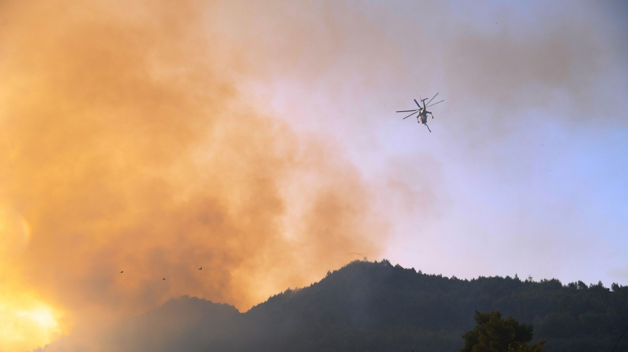 Φωτιά στην Ηλεία: 7.950 στρέμματα έγιναν στάχτη σύμφωνα με την υπηρεσία Copernicus (φώτο)