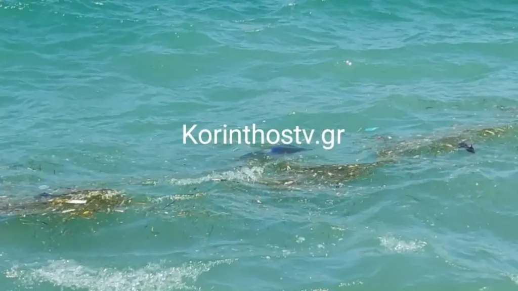 Κόρινθος: Οδηγός έπεσε με το αυτοκίνητό του στη θάλασσα (βίντεο)