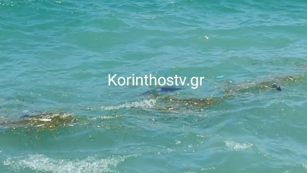 Κόρινθος: Οδηγός έπεσε με το αυτοκίνητό του στη θάλασσα (βίντεο)