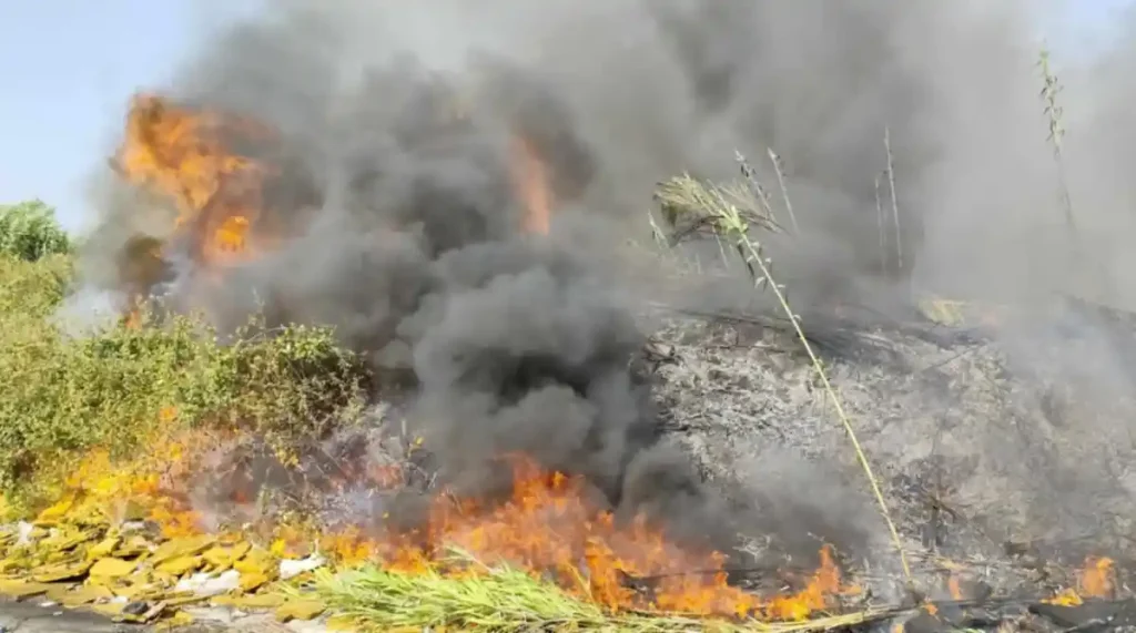 Πρέβεζα: Mεγάλη αναζωπύρωση της φωτιάς στην περιοχή Βρυσούλα