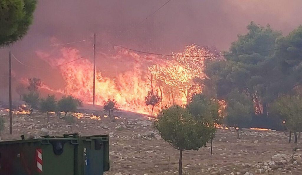 Ζάκυνθος: Φωτιά σε δασική έκταση μεταξύ Λιθακιάς, Αγαλά και Κοιλιωμένου – «Καίει δίπλα σε σπίτια» (upd)