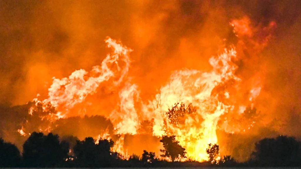Θ.Πλεύρης: «Εκκενώσαμε την δομή μας με τους αιτούντες άσυλο στην Φιλιππιάδα»