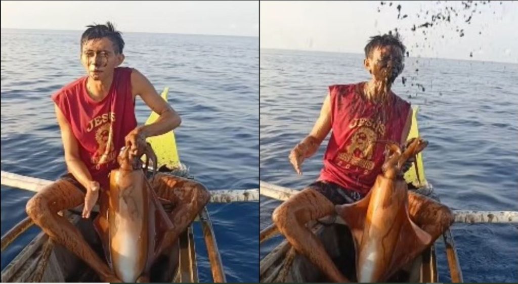 Ψαράς από τις Φιλιππίνες έπιασε σουπιά κι εκείνη τον «έλουσε» με μελάνι – «Ήταν αηδιαστικό» (βίντεο)