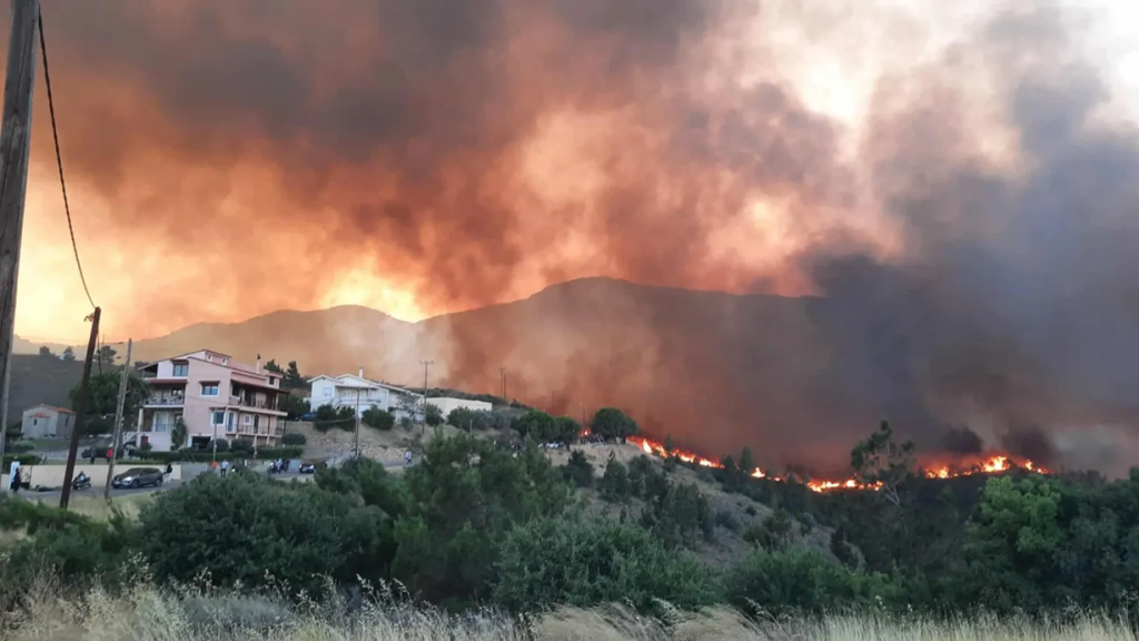 Ξεσπά κάτοικος της Χίου για τη φωτιά: «Ρωτάγαμε αστυνομικούς τι να κάνουμε και μας έλεγαν “ό,τι θέλετε”» (βίντεο)