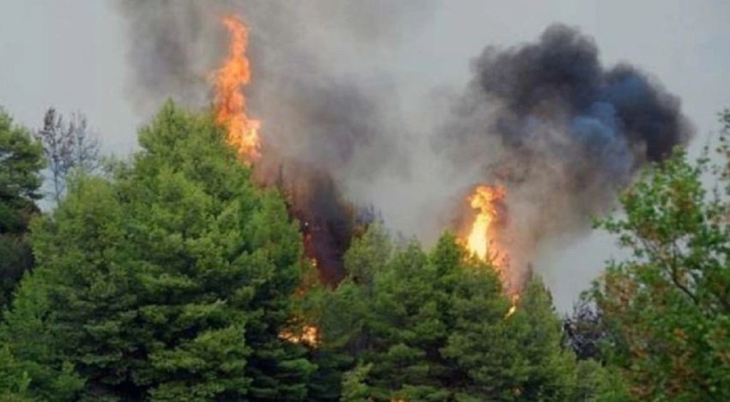 Φωτιά στη Ζάκυνθο: Μάχη με τις αναζωπυρώσεις
