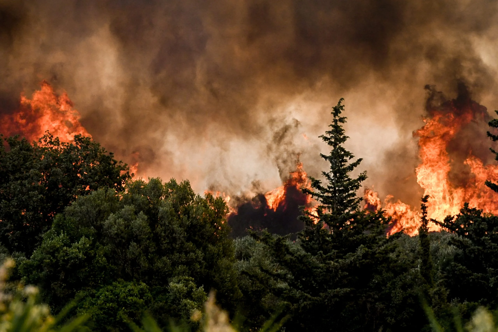 Ανεξέλεγκτη η φωτιά στην Πρέβεζα: Στα 30χλμ το πύρινο μέτωπο – Καταστροφές στα χωριά Άγιος Γεώργιος και Παντάνασσα