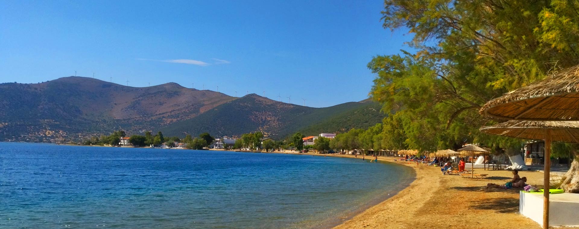 Εύβοια: H στιγμή που εκατοντάδες ψάρια ξεπηδούν από τη θάλασσα στην στεριά στον Αλμυροπόταμο (βίντεο)