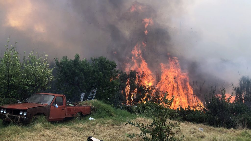 Μπάλας Αχαΐας: Αναζωπυρώθηκε η φωτιά – Ισχυρές δυνάμεις της Πυροσβεστικής επιχειρούν για την κατάσβεσή της (βίντεο)
