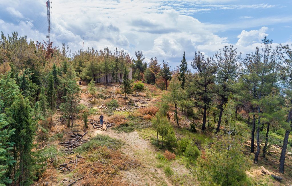 Χαλκιδική: Απαγόρευση κυκλοφορίας λόγω υψηλού κινδύνου πυρκαγιάς – Δείτε σε ποιες περιοχές θα ισχύει