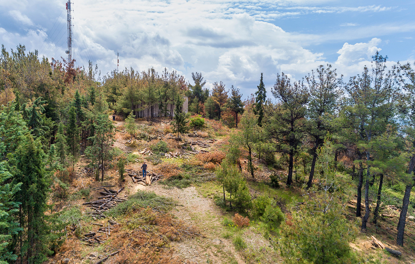 Χαλκιδική: Απαγόρευση κυκλοφορίας λόγω υψηλού κινδύνου πυρκαγιάς – Δείτε σε ποιες περιοχές θα ισχύει