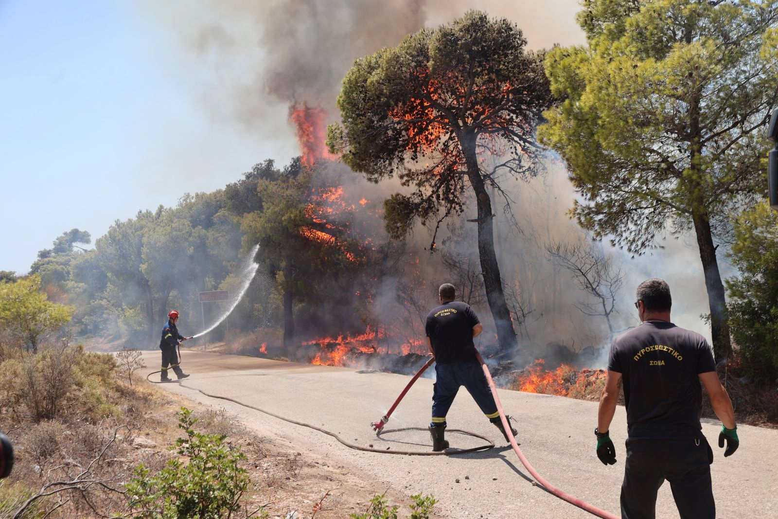 Πύργος: Οριοθετήθηκε η φωτιά που έκαιγε κοντά σε σπίτια (upd)