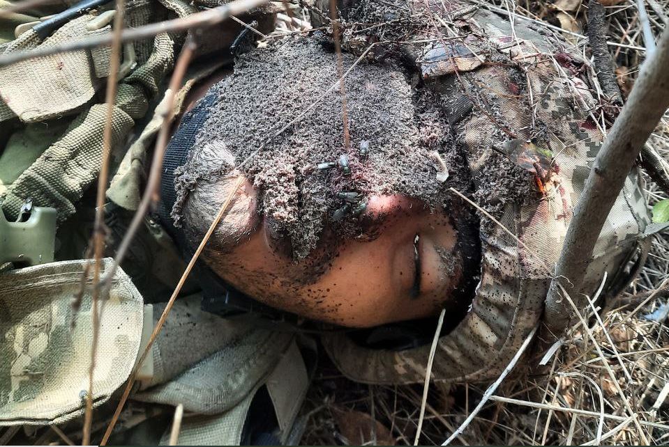 Ισπανόφωνος μισθοφόρος εξοντώθηκε στο Βορόνοε: Απανθρακώθηκε το πρόσωπό του – Το μήνυμα που βρέθηκε πάνω του (φωτο)