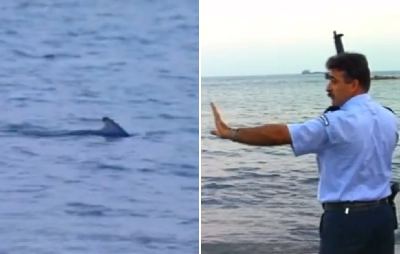 Κύπρος: Viral το βίντεο από το 1997 με αστυνομικούς να πυροβολούν καρχαρίες με καλάσνικοφ!