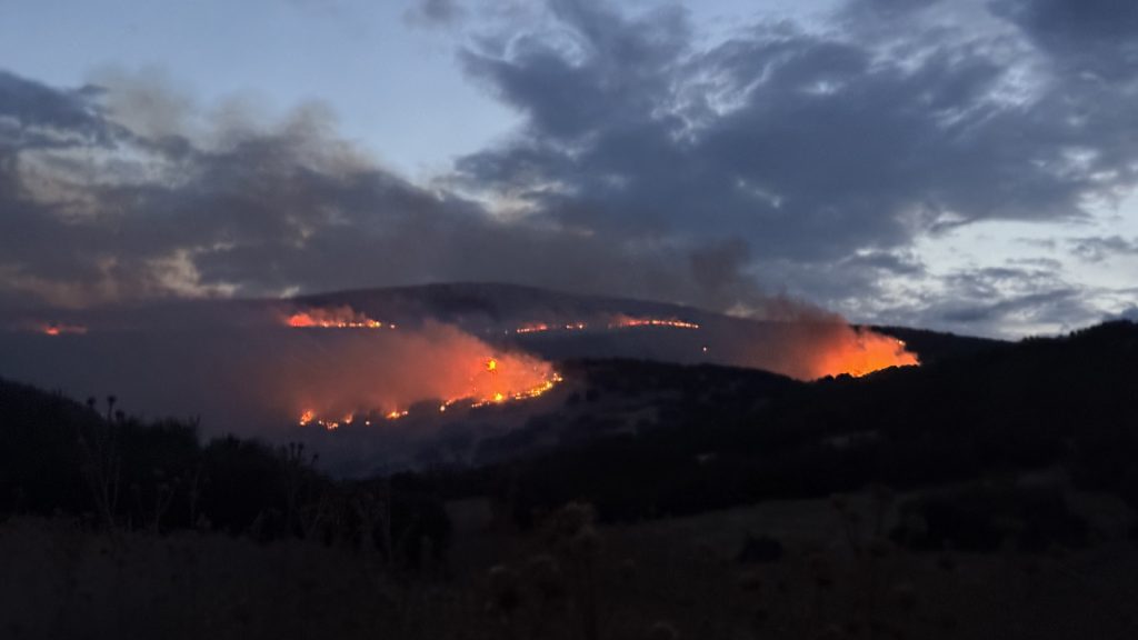 Τύρναβος: Επιμένει η πυρκαγιά στο Αμύγδαλο – Συνεχίζεται η μάχη των Πυροσβεστών, σηκώθηκαν εναέρια μέσα (βίντεο)
