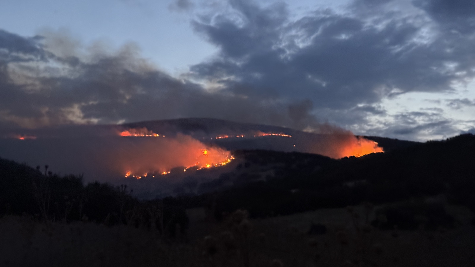 Τύρναβος: Επιμένει η πυρκαγιά στο Αμύγδαλο – Συνεχίζεται η μάχη των Πυροσβεστών, σηκώθηκαν εναέρια μέσα (βίντεο)