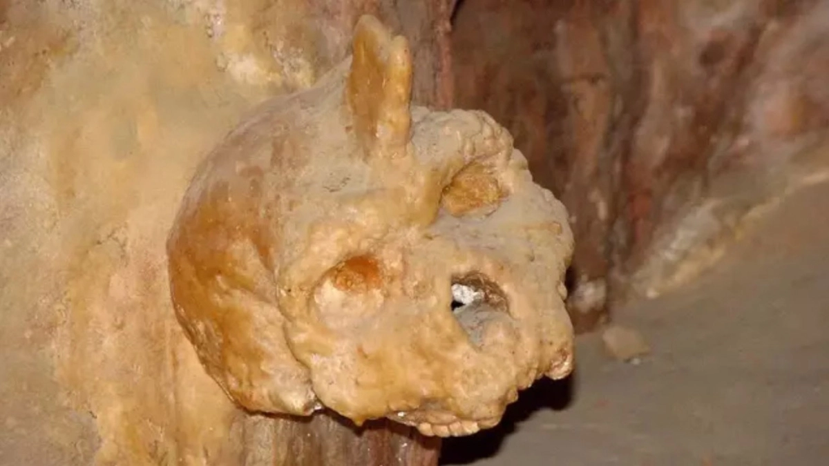 Αυτό είναι μυστηριώδες κρανίο 286.000 ετών που βρέθηκε στην Ελλάδα – Δεν ανήκει σε ανθρώπινο είδος