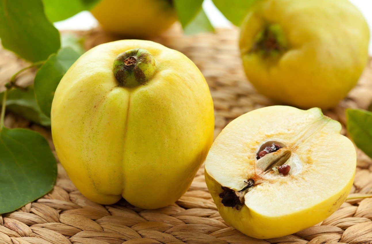 Κυδώνι: Αυτά είναι τα άγνωστα οφέλη που έχει για την υγεία μας