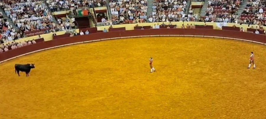 Βίντεο: Tαύρος επιτίθεται και σκοτώνει 22χρονο κατά τη διάρκεια ταυρομαχίας στην Πορτογαλία (σκληρές εικόνες)