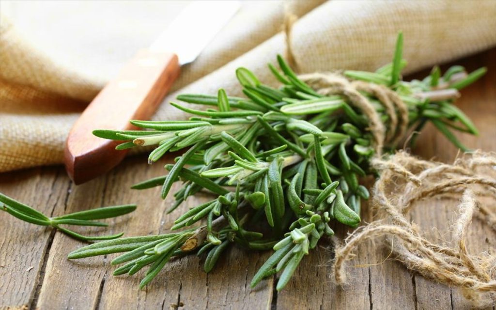 Το γνωρίζατε; – Aυτά είναι τα φυτά που βοηθούν στην καταπολέμηση του καρκίνου