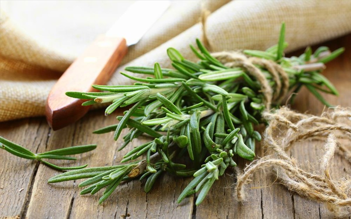 Το γνωρίζατε; – Aυτά είναι τα φυτά που βοηθούν στην καταπολέμηση του καρκίνου