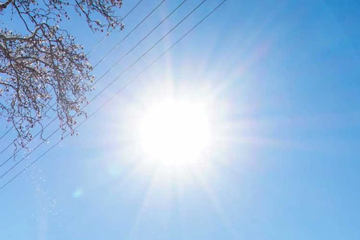 Ποιες τροφές μπορούν να σας προστατεύσουν από την ηλιακή ακτινοβολία