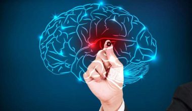 Ποια η σύνδεση ανάμεσα σε εγκέφαλο και… αντίχειρα; – Τι ανακάλυψαν επιστήμονες