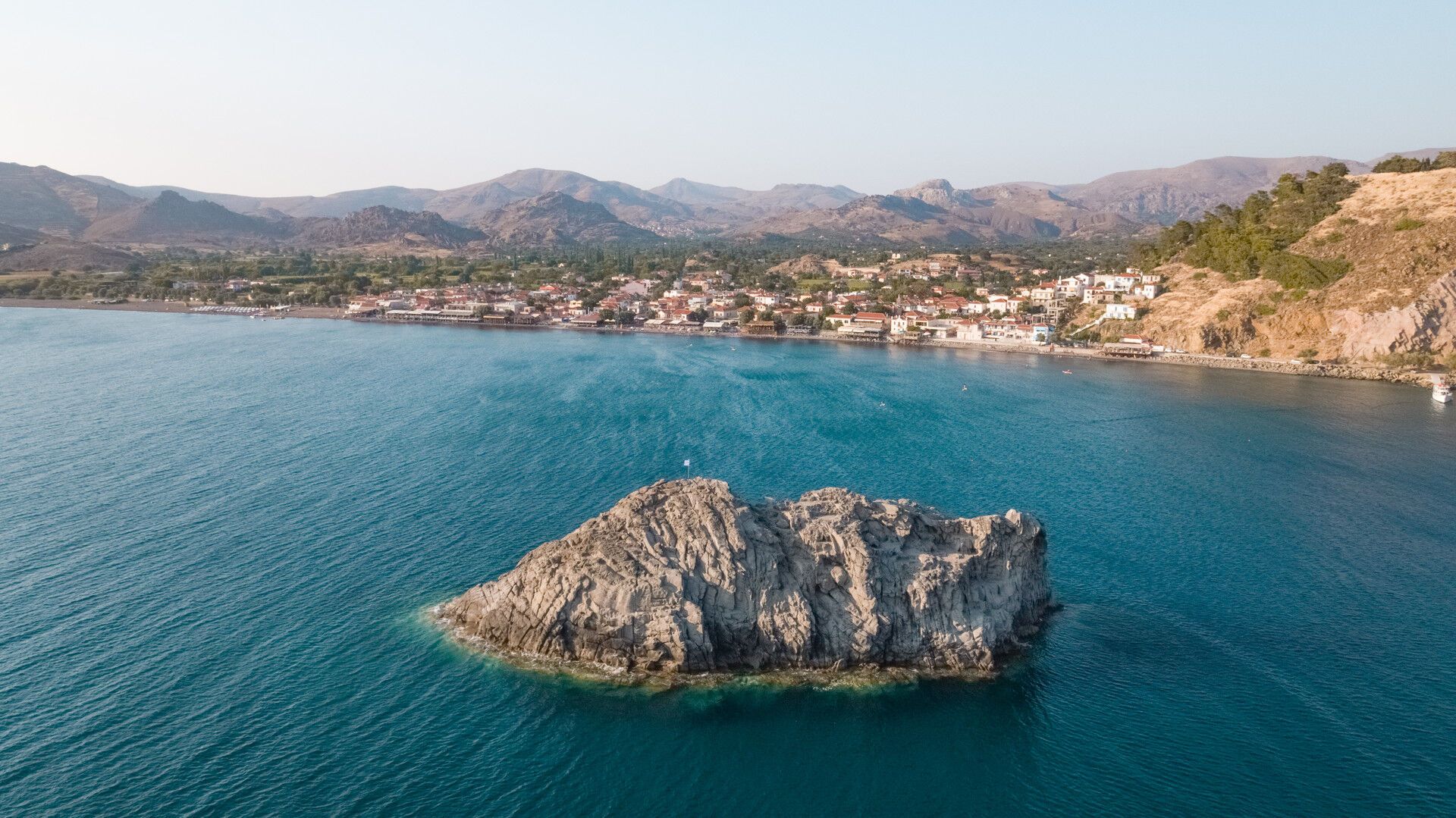 Για πρώτη φορά εμφανίστηκε σε ελληνικό νησί χελώνα «εισβολέας»: Πού εντοπίστηκε