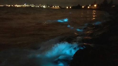 «Bioluminescent algae»: Το σπάνιο φαινόμενο που έκανε το νερό της θάλασσας στην Αυστραλία να λαμπυρίζει (βίντεο)
