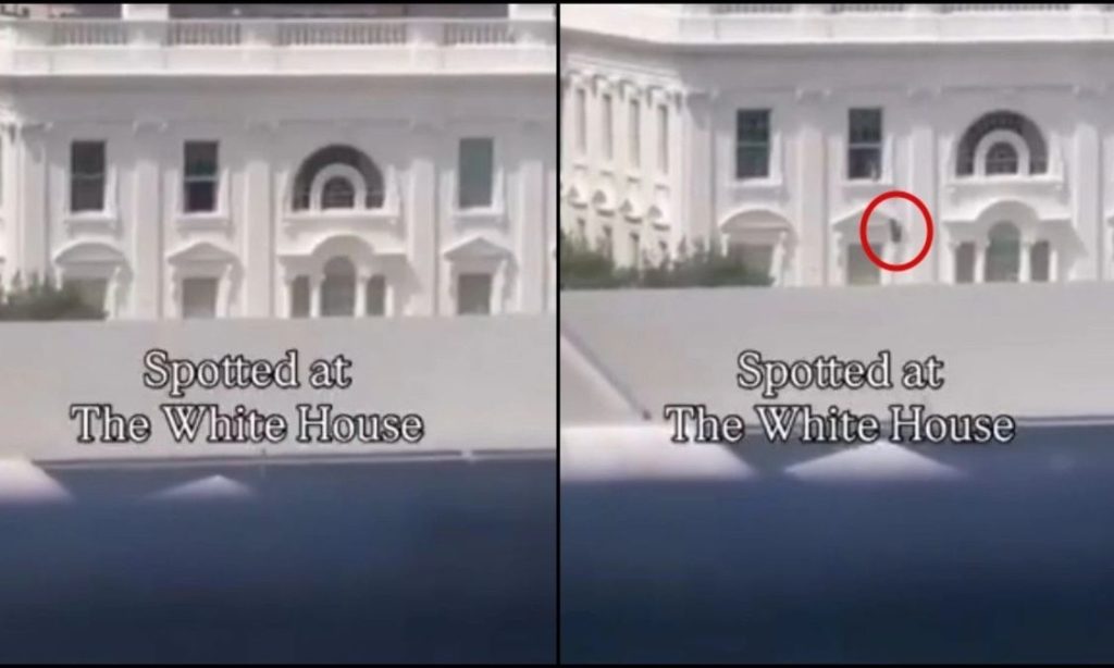 Τι συμβαίνει με τις μαύρες σακούλες που πετιούνται από παράθυρο του Λευκού Οίκου