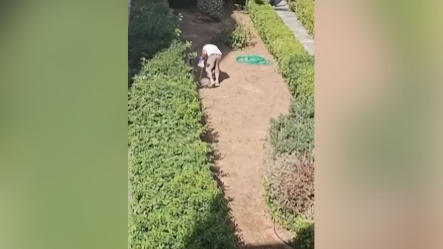 Βίντεο: Κυνηγόσκυλα εισέβαλαν σε κήπο πολυκατοικίας στην Πεύκη και κατασπάραξαν γάτες