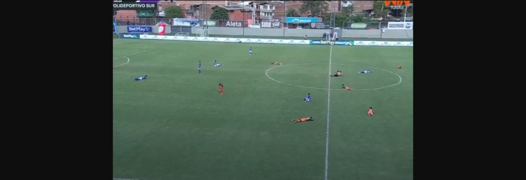 Copa Colombia: Εισβολή μελισσών διέκοψε δύο φορές αγώνα – Η αντίδραση των ποδοσφαιριστών