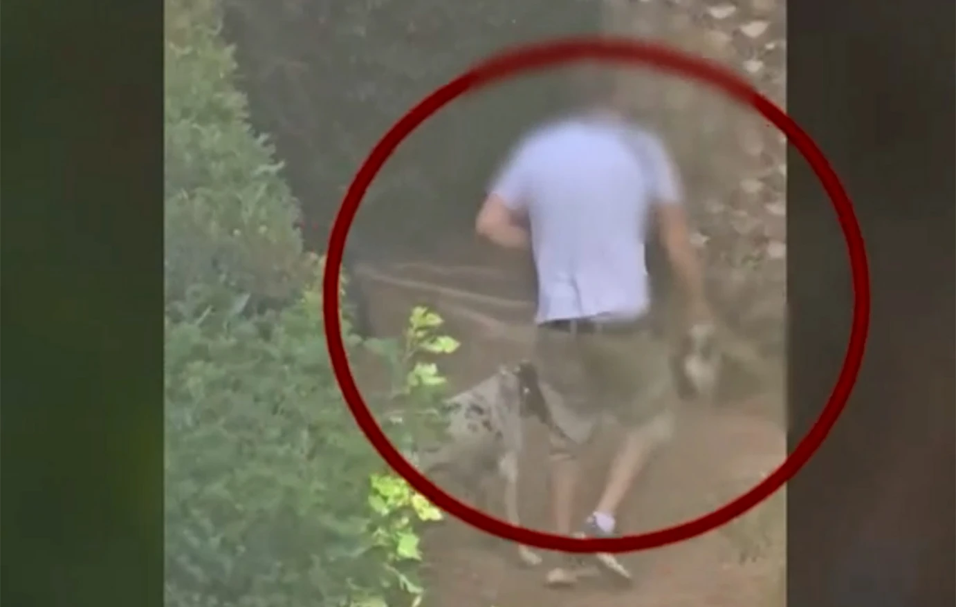 Άνδρας εκπαιδεύει κυνηγόσκυλα σκοτώνοντας γατάκια στην Πεύκη: Τους δίνει εντολές να τα πνίγουν – Δείτε βίντεο