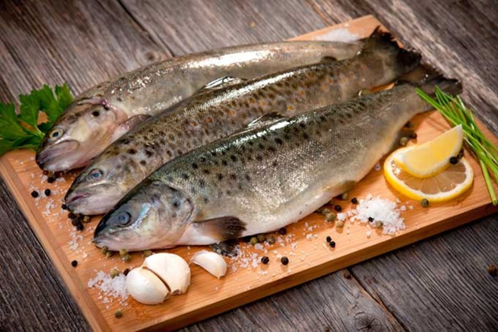 Τα ψάρια που είναι γεμάτα με υδράργυρο – Ποια τα πιο ασφαλή είδη