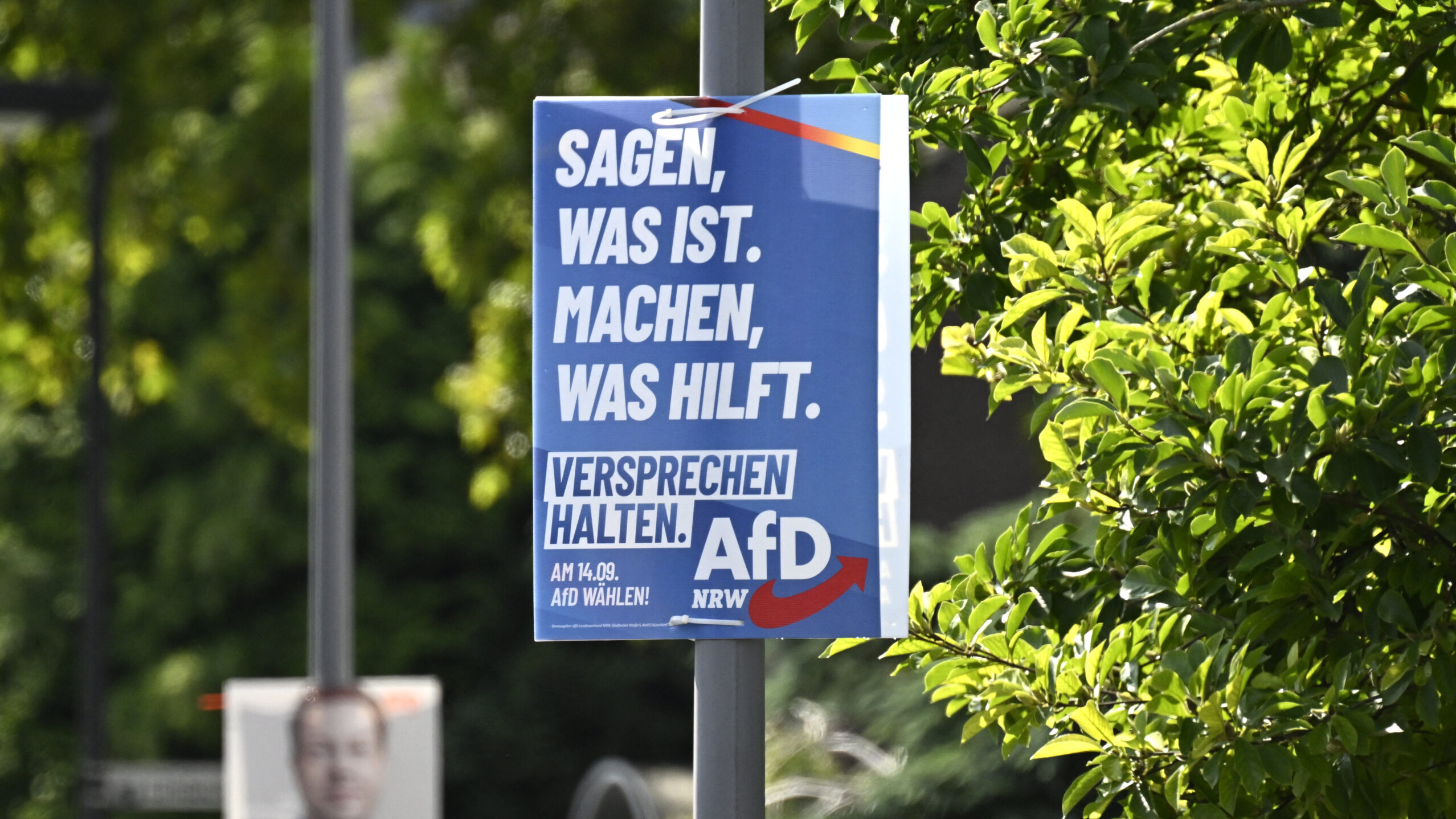 Γερμανία: Πληθαίνουν οι φωνές που ζητούν την εξιχνίαση της υπόθεσης των ξαφνικών θανάτων υποψηφίων του AfD