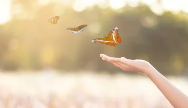 Ειδικός σε θέματα ευτυχίας εξηγεί: Αυτό είναι το μυστικό για μια εύκολη και επιτυχημένη ζωή