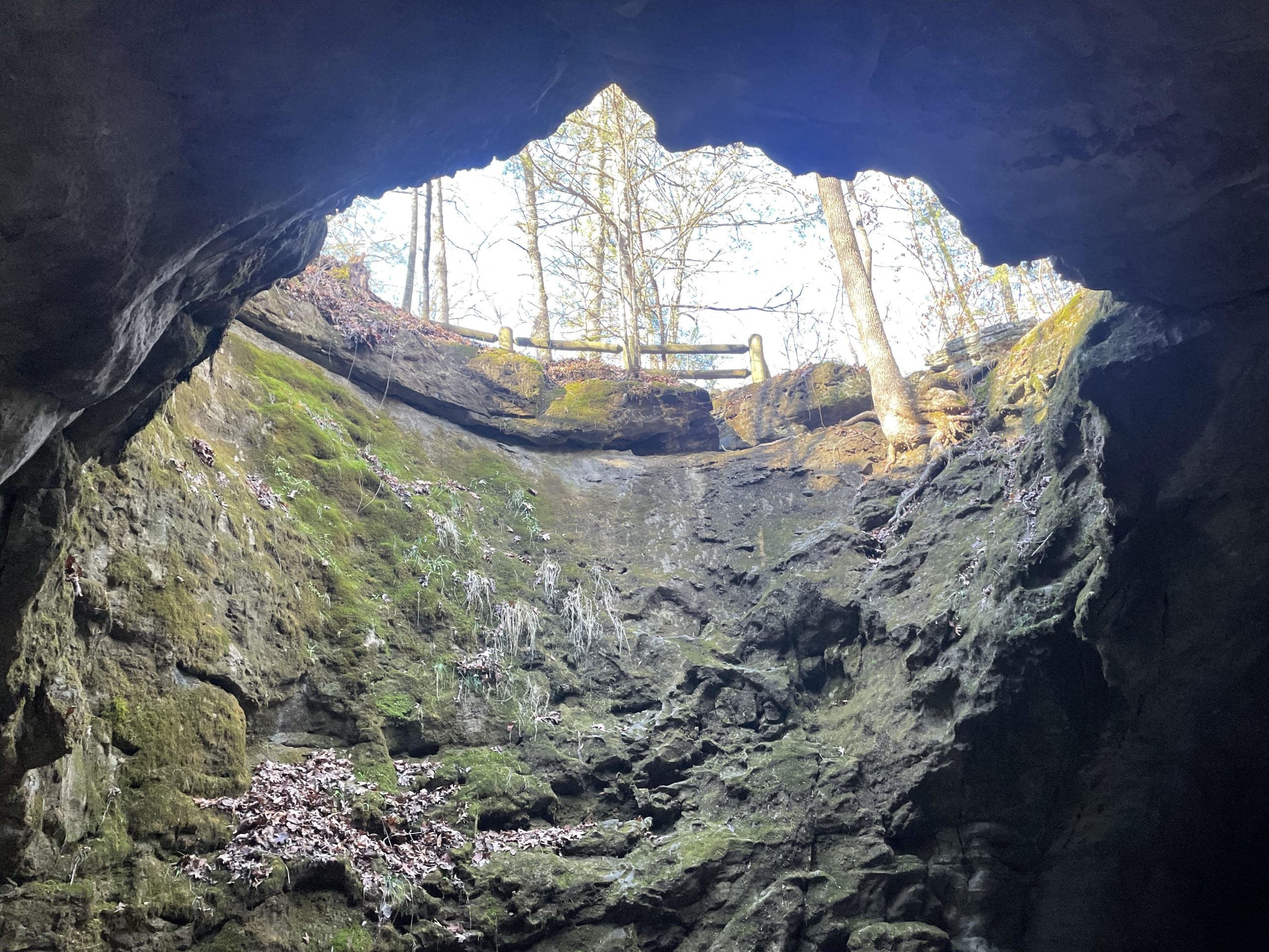 Ρωσίδα εγκατέλειψε τον πολιτισμό και ζει με τις κόρες της σε σπηλιά στην Ινδία: «Τα φίδια είναι φίλοι μας»