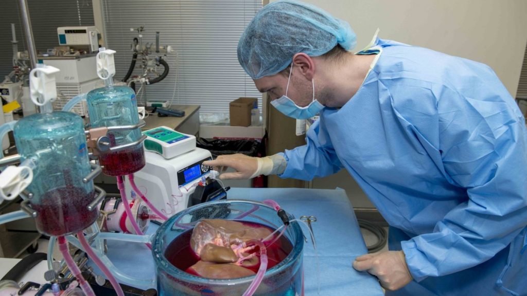 Ηράκλειο Κρήτης: 37χρονος χάρισε ζωή σε τέσσερις συνανθρώπους του μέσω της δωρεάς οργάνων