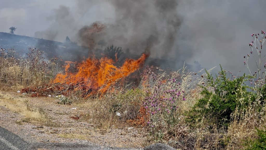 Φωτιά σε χαμηλή βλάστηση στο Πλαγιάρι Θεσσαλονίκης