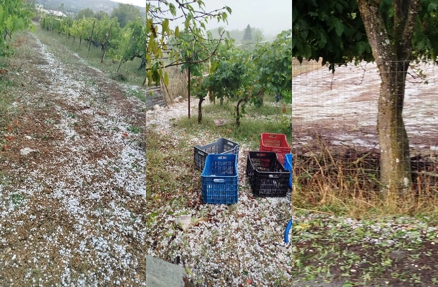 Σφοδρή χαλαζόπτωση στα Ιωάννινα – Μεγάλες ζημιές σε αμπελώνες λίγο πριν ξεκινήσει ο τρύγος (φωτο)