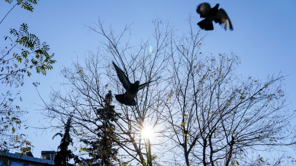 Ο καιρός σήμερα: Αίθριος με αραιές νεφώσεις – Η πρόγνωση για όλη τη χώρα