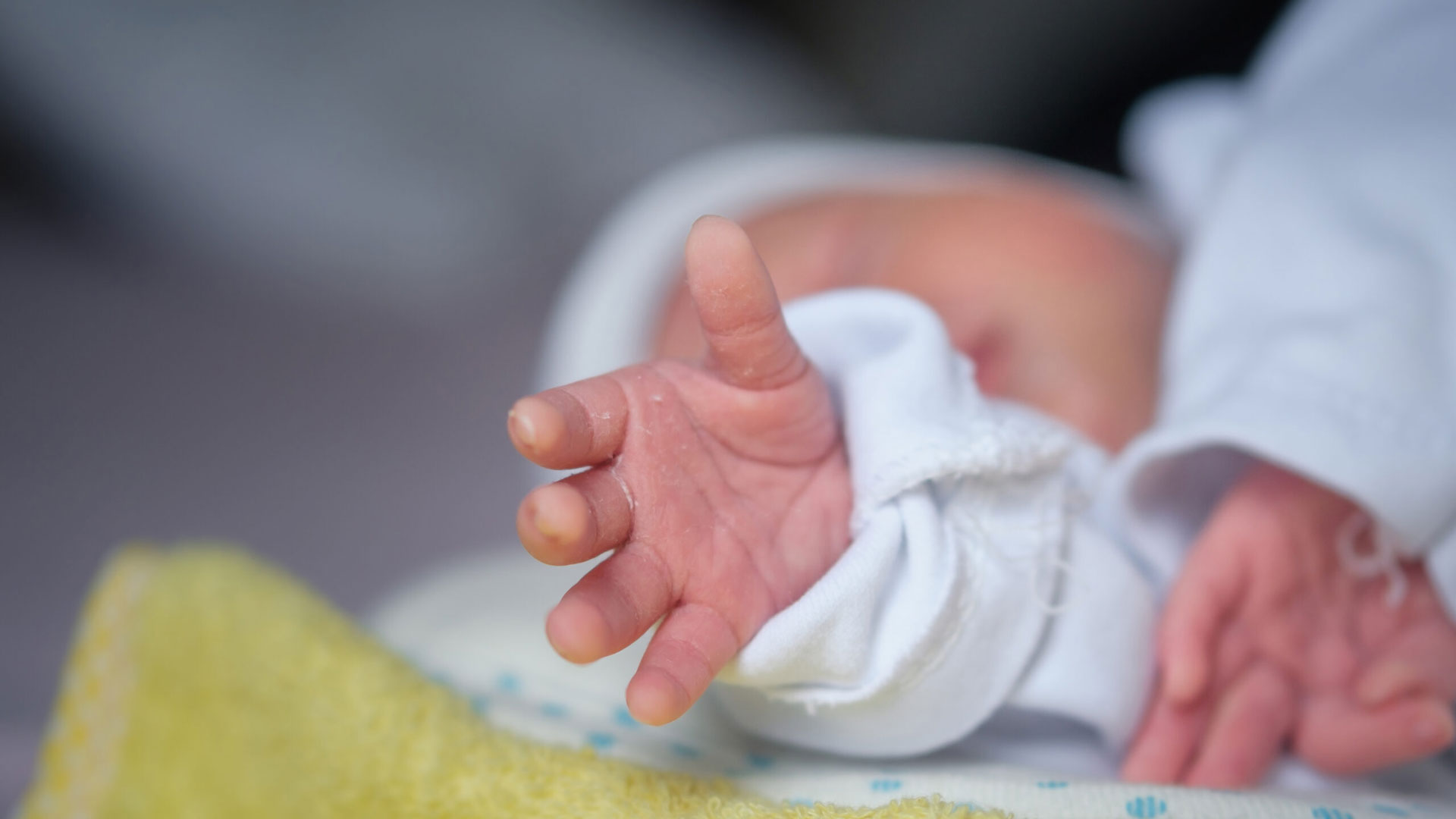 Δ.Γαλεντέρης για Πάτρα: «Τα σημάδια κακοποίησης οφείλουν να καταγραφούν ανεξάρτητα από την αποδοθείσα αιτία θανάτου»